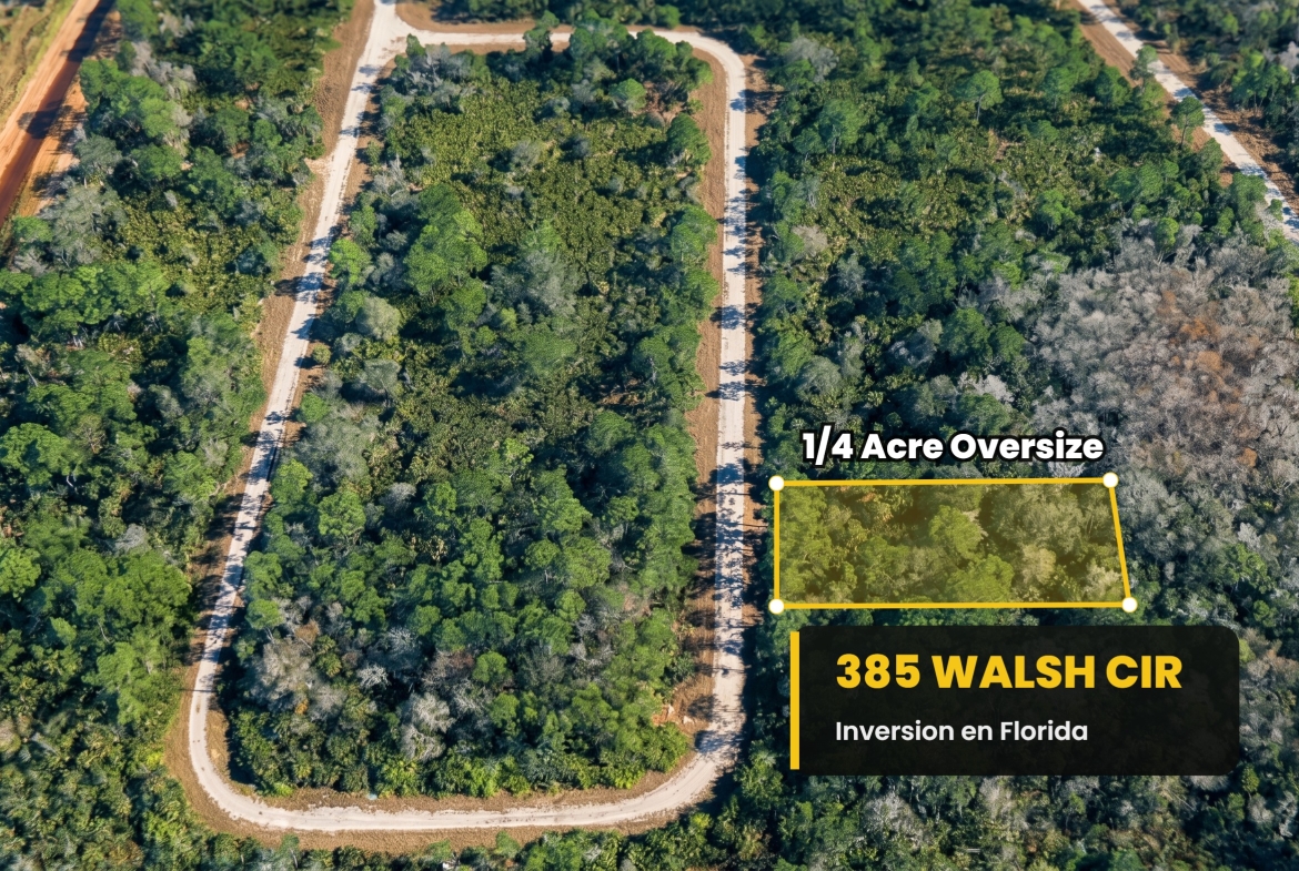 385 Walsh Cir