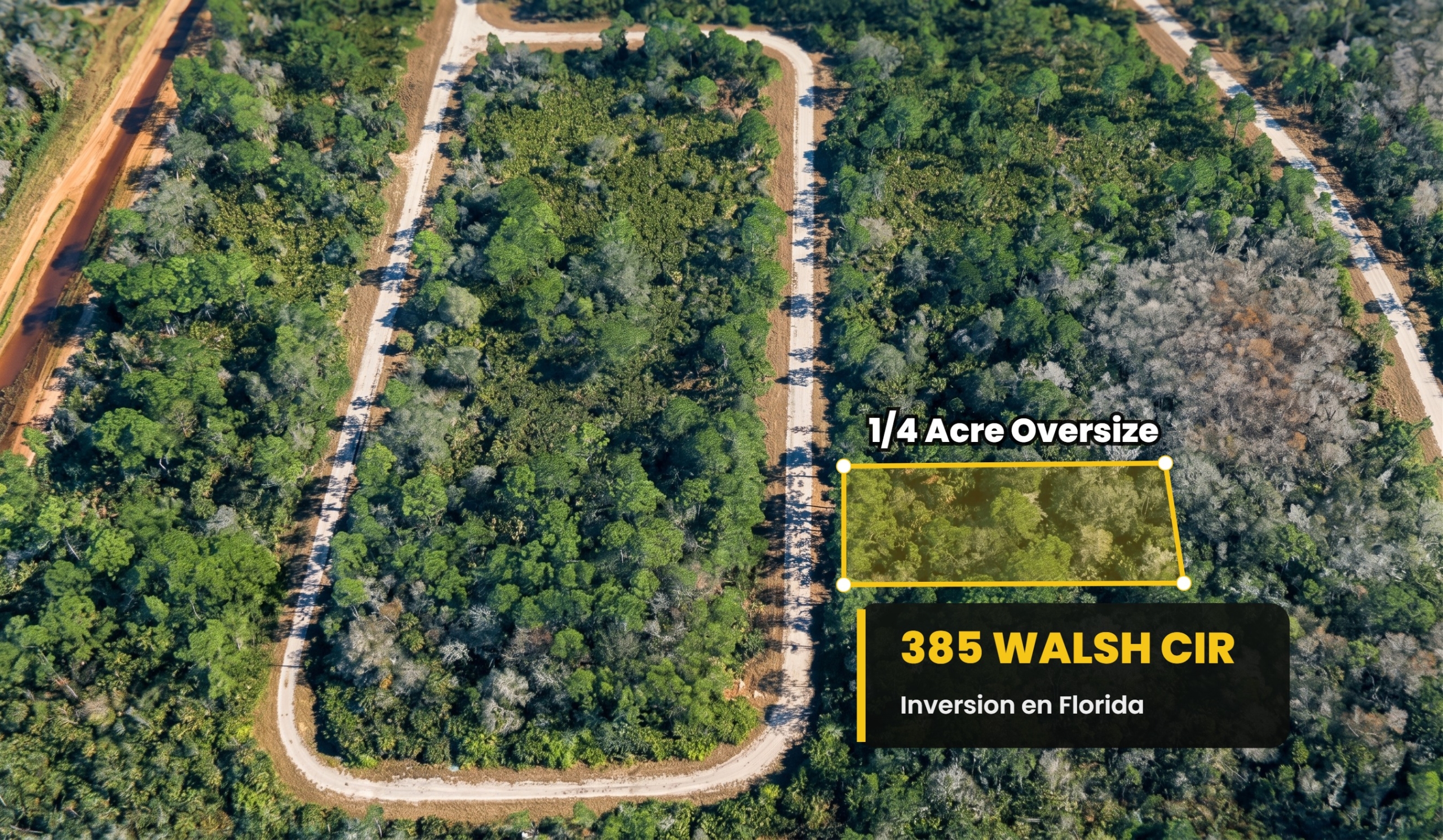385 Walsh Cir